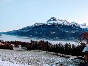 Chalets Demi-chalet de charme a Combloux : photos des chambres