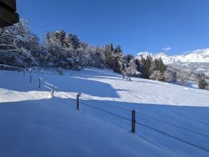 Chalets Demi-chalet de charme a Combloux : photos des chambres