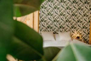 Maisons de vacances Grand loft avec Jacuzzi et Home Cinema : photos des chambres