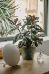 Maisons de vacances Grand loft avec Jacuzzi et Home Cinema : Maison 2 Chambres