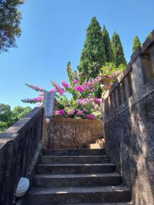 Villa Tiha 