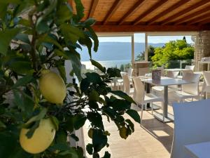 La Cascata Negli Ulivi