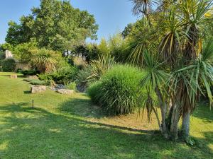 B&B / Chambres d'hotes La Villa Emeraude : Chambre Double avec Terrasse