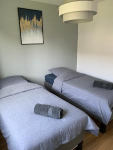 Maisons de vacances Villa Alba : photos des chambres