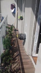 One bedroom apartment for rent