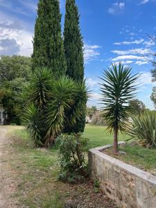 Maisons d'hotes Alpilles Camargue Mas Falabrego : photos des chambres