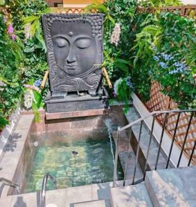 La Cueva de Las Orquídeas