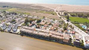 CALITO DEL DELTA - L'Eucaliptus