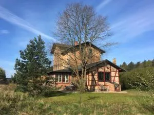 Romantisches Studio am Waldesrand mit Gartensauna - Dranse