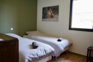 Maisons de vacances Gite de l’Ambiance : photos des chambres