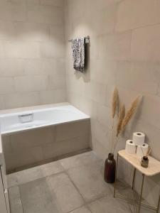 Beautiful Apartment in Central Zurich