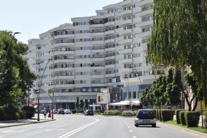Studio PANORAMIC with Balcony and Parcul Unirii view