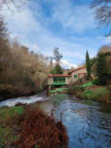 Molino verde