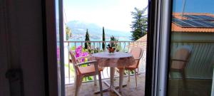 Guesthouse Gavrilović 28 A