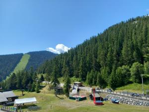 Appartements Tres agreable 2 pieces au pied des pistes : photos des chambres