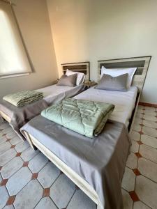 Olive tree the master bed and balcony apartment