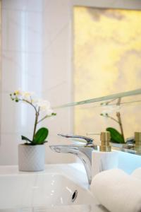 Luxurious Central Apartment next to the Danube River