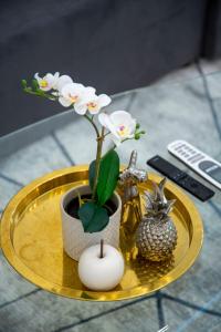 Luxurious Central Apartment next to the Danube River