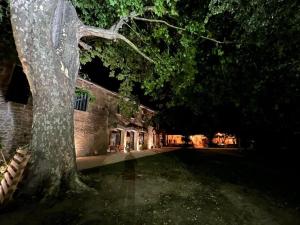 Sejours chez l'habitant La bambouseraie de sulauze : photos des chambres