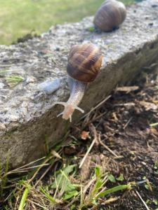 Casa Luciana nel cuore dellAlpe(022102-AT-849663)