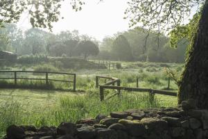 Chalets Dihan Evasion : photos des chambres