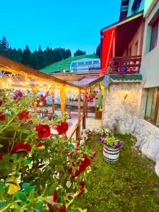 Hotel Forest Star on the Ski Slope