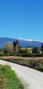 Les Oliviers De Notre Dame