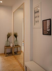 Homey Comfort Apartments