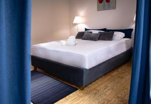 Homey Comfort Apartments