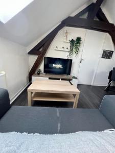 Bel appartement lumineux 35m2, Bord De Loire