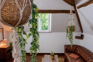 Appartements Manoir d'Egrefin : photos des chambres