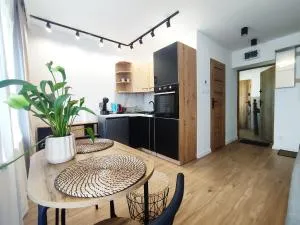 Apartamenty Anka Szczawno Zdrój - 博尔库夫