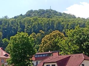 Apartment Biesnitz