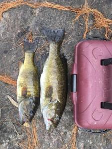 Algonquin Island Luxe Cottage at the edge of the Park