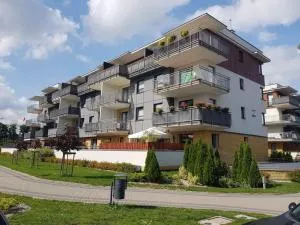 Olimpijska Piątka - Rosochaty Róg