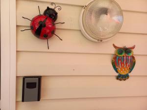 Campings Mobil Home Les salins de la gardiole : photos des chambres