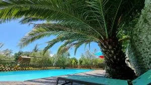 Domaine de Rochebonne - 圣索尼