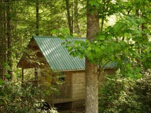 Holly Nest a Cozy Cabin Getaway near Gatlinburg