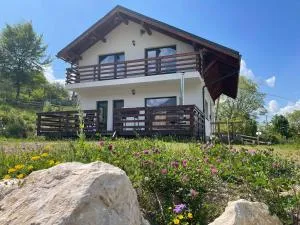 Vila Merida - Poarta