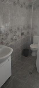 Violeta 7 Guest House