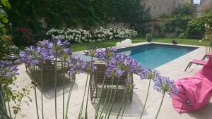 B&B / Chambres d'hotes Demeure Les Aiglons, Chambres d'hotes & Spa : photos des chambres