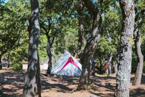 Campings Camping Ladouceur : photos des chambres