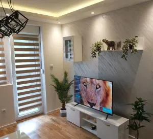 Apartman Damjan Sokobanja - Resnik