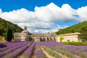 Appartements La Bastide de la Peyroliere avec piscine et tennis face au Luberon : photos des chambres