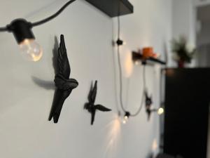 Bird NEST 2 room apartment