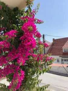 Vasia's Cosy Sea Home at Alykes Volos - 沃洛斯