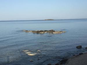 Coastal Charm - Sea View Room