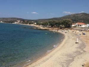Coastal Charm - Sea View Room