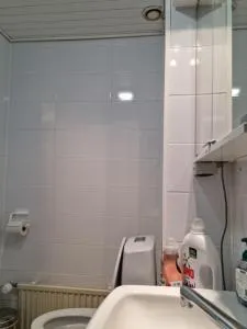 Kompakti yksiö numero 3 pienkerrostalossa - Luvia