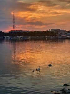 Platinium Residence Mangalia